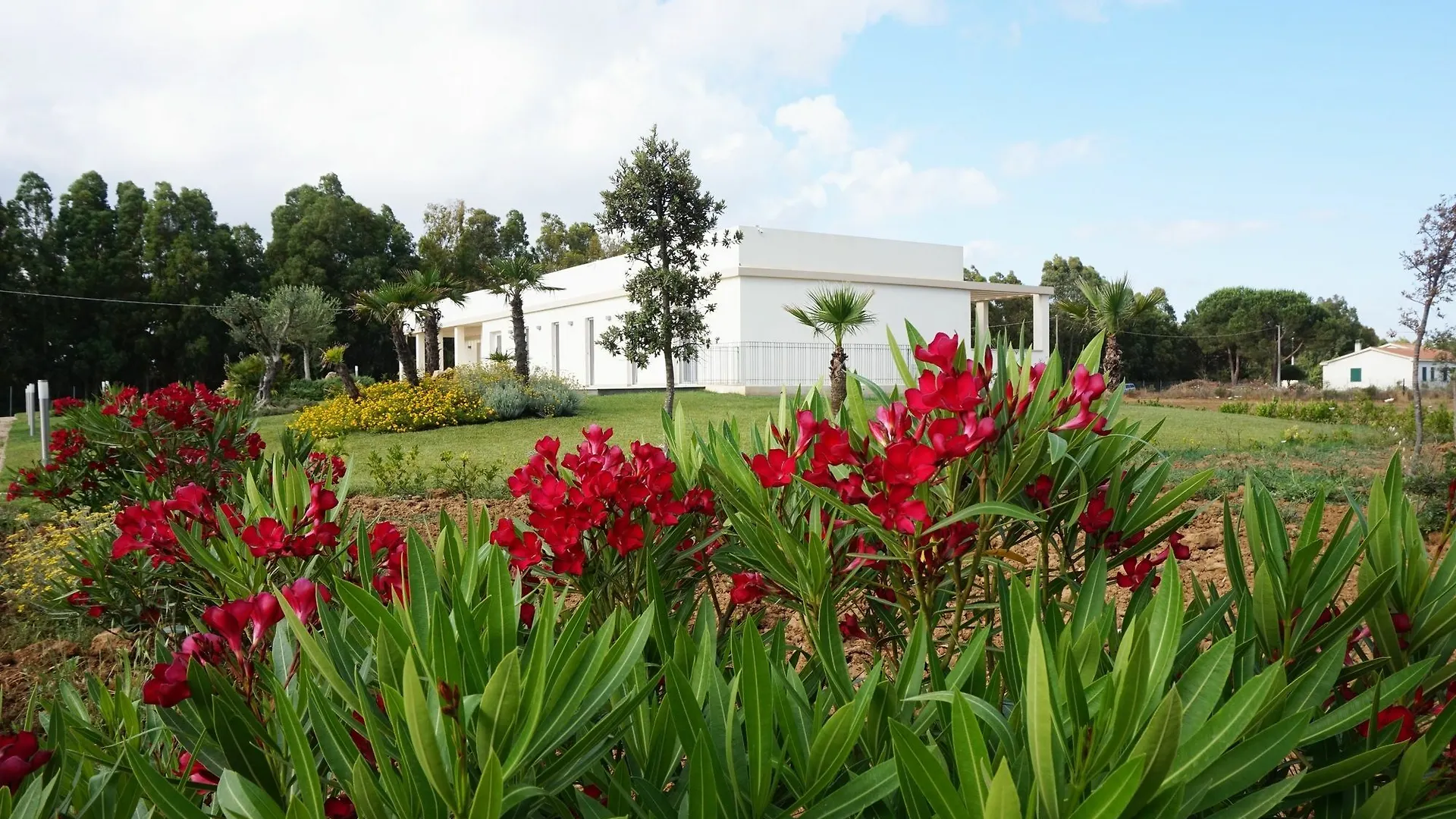 Maris Villa Alghero Olaszország